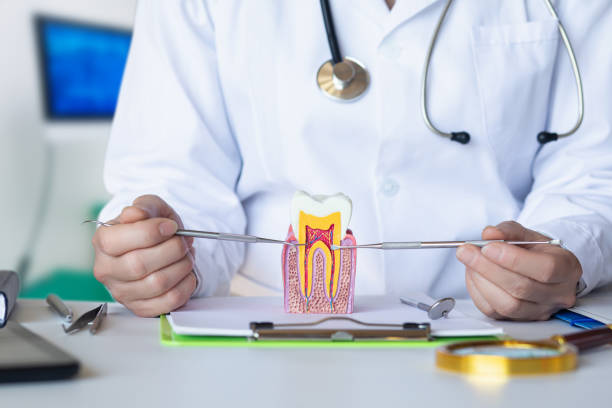 Best Emergency Tooth Extraction in Conestee, SC